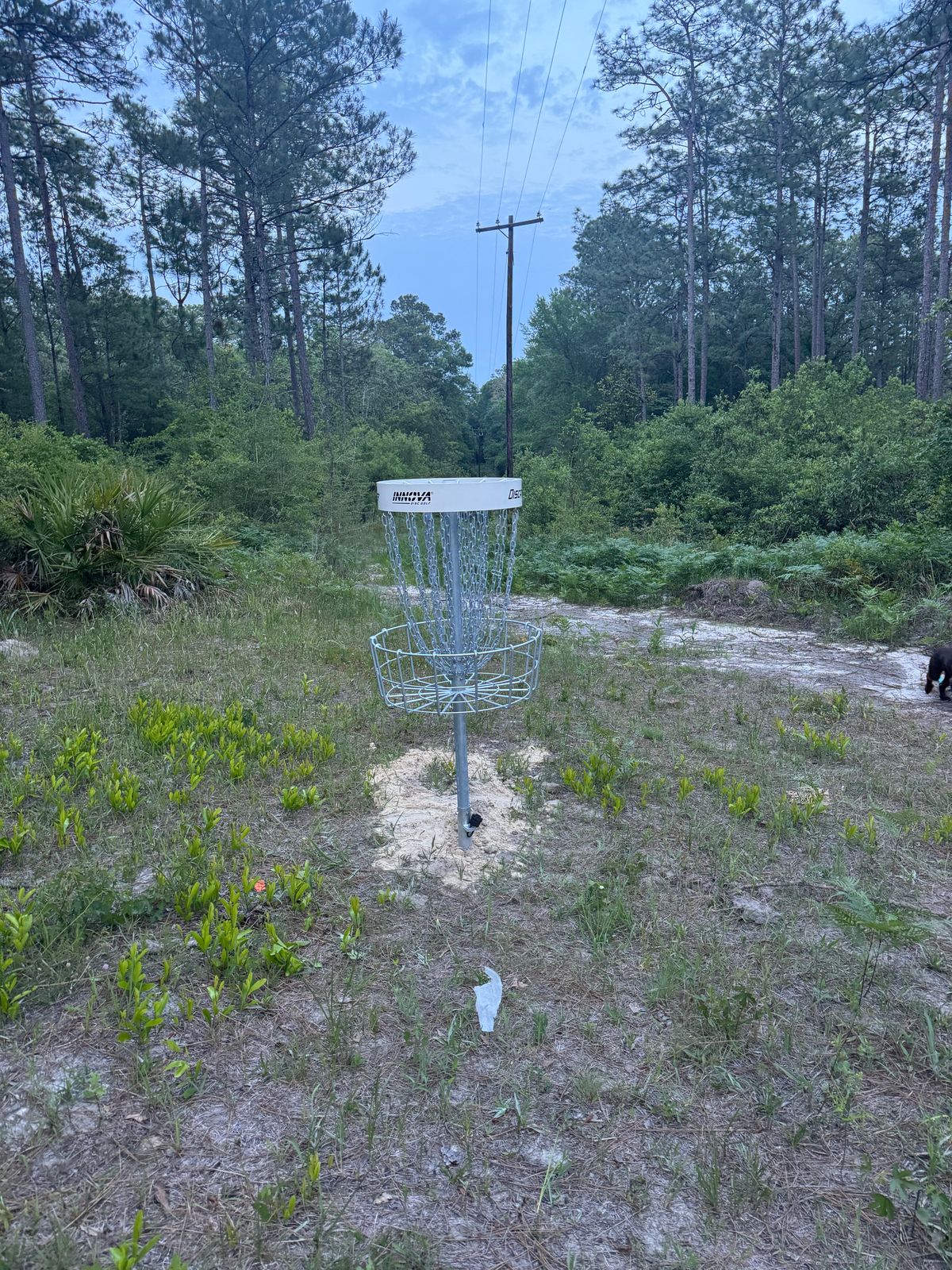 Hole 3