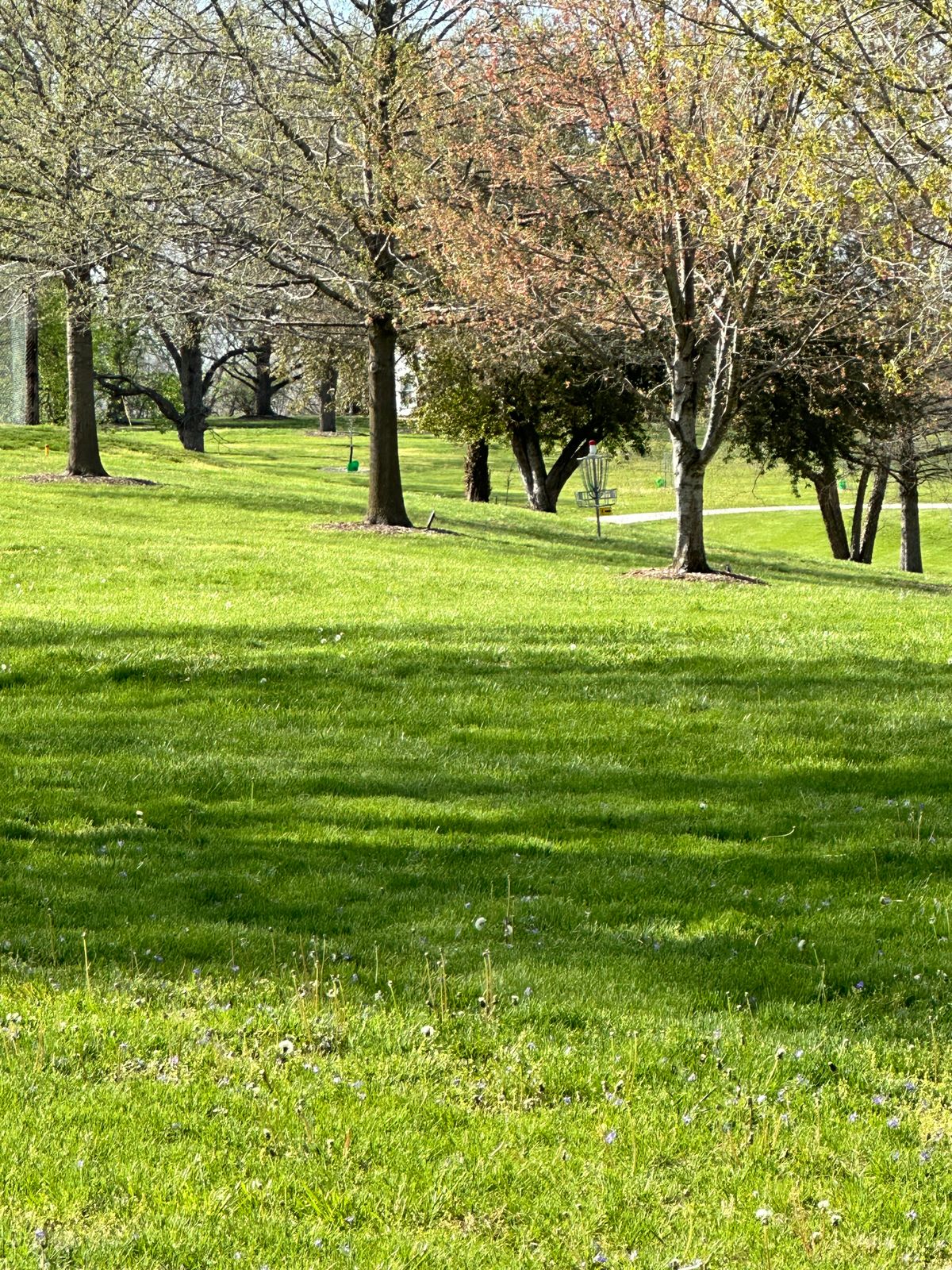 Hole 3 basket
