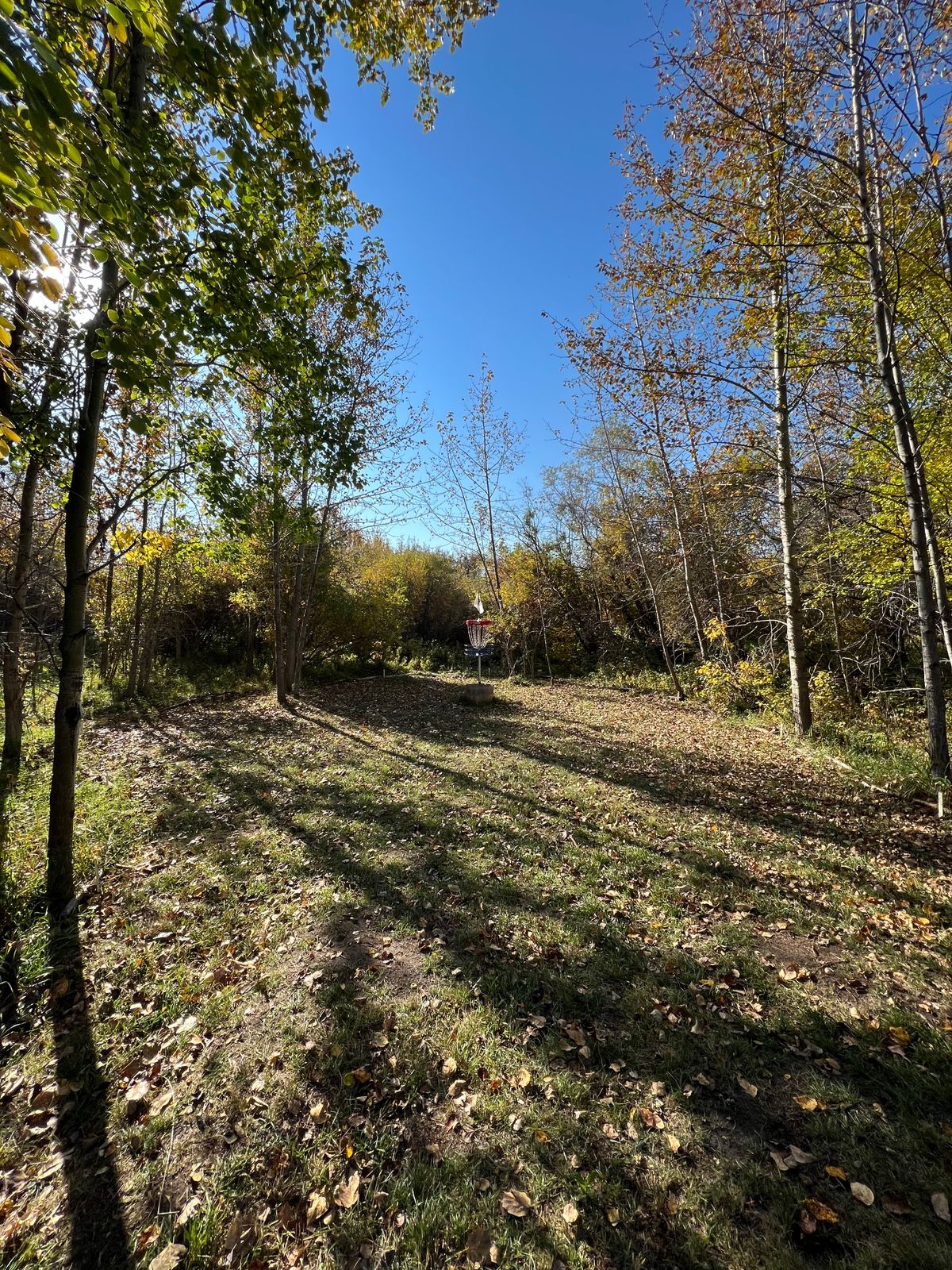 Hole 8 Green