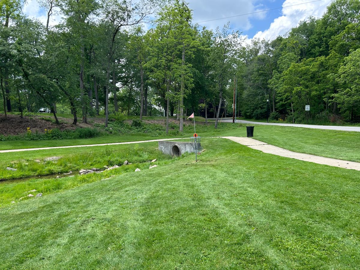 Hole 6 basket