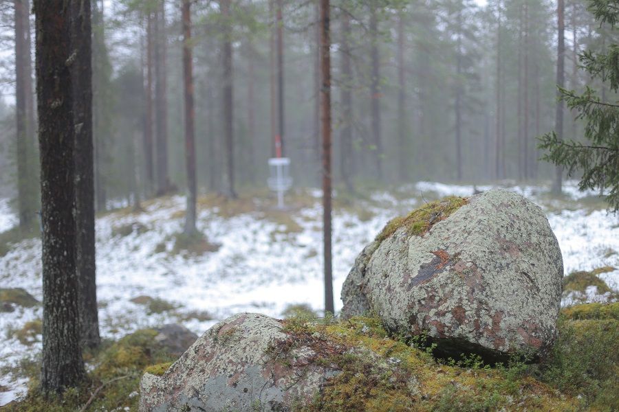 Vacker natur med korg på bana 3 i bakgrunden. Oktober 2024.
