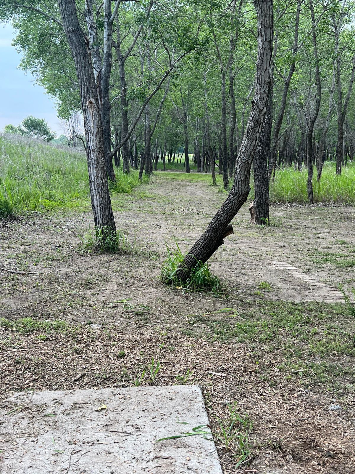 Hole 2