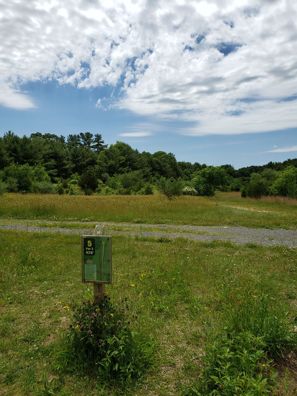 Hole 5
