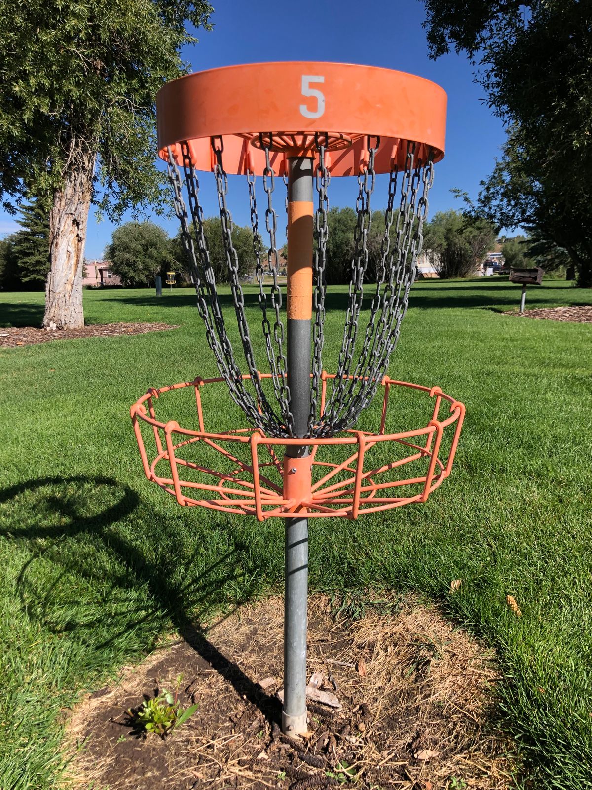 Hole 5 basket