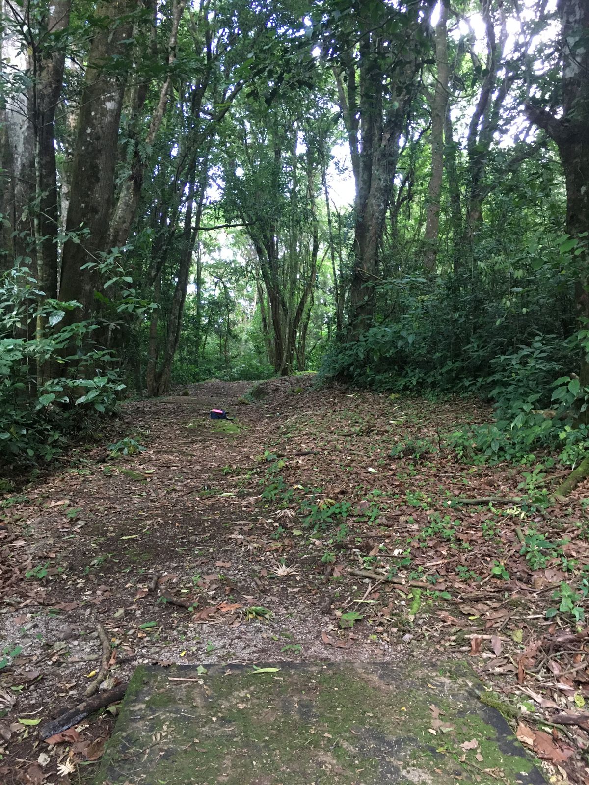 Hole 3 Long Tee