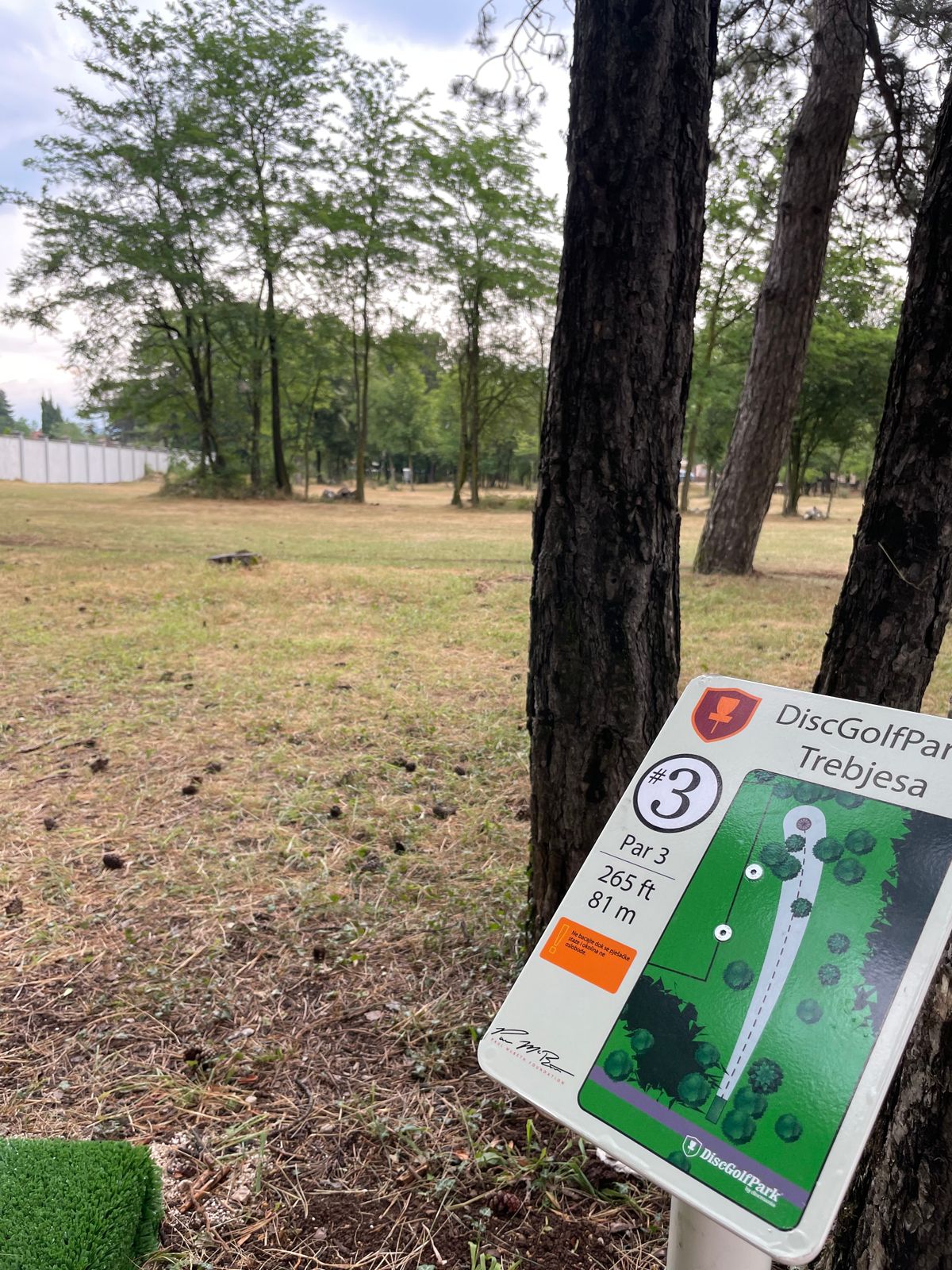Hole 3 tee