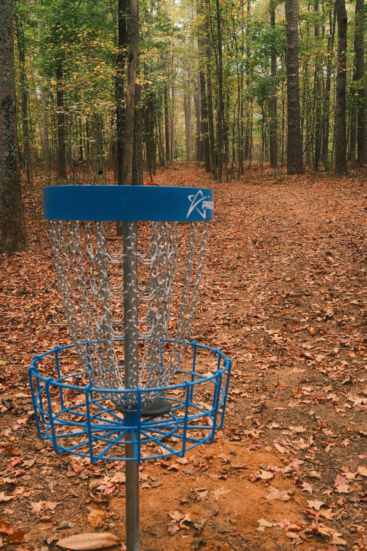 #14 basket looking at tee
