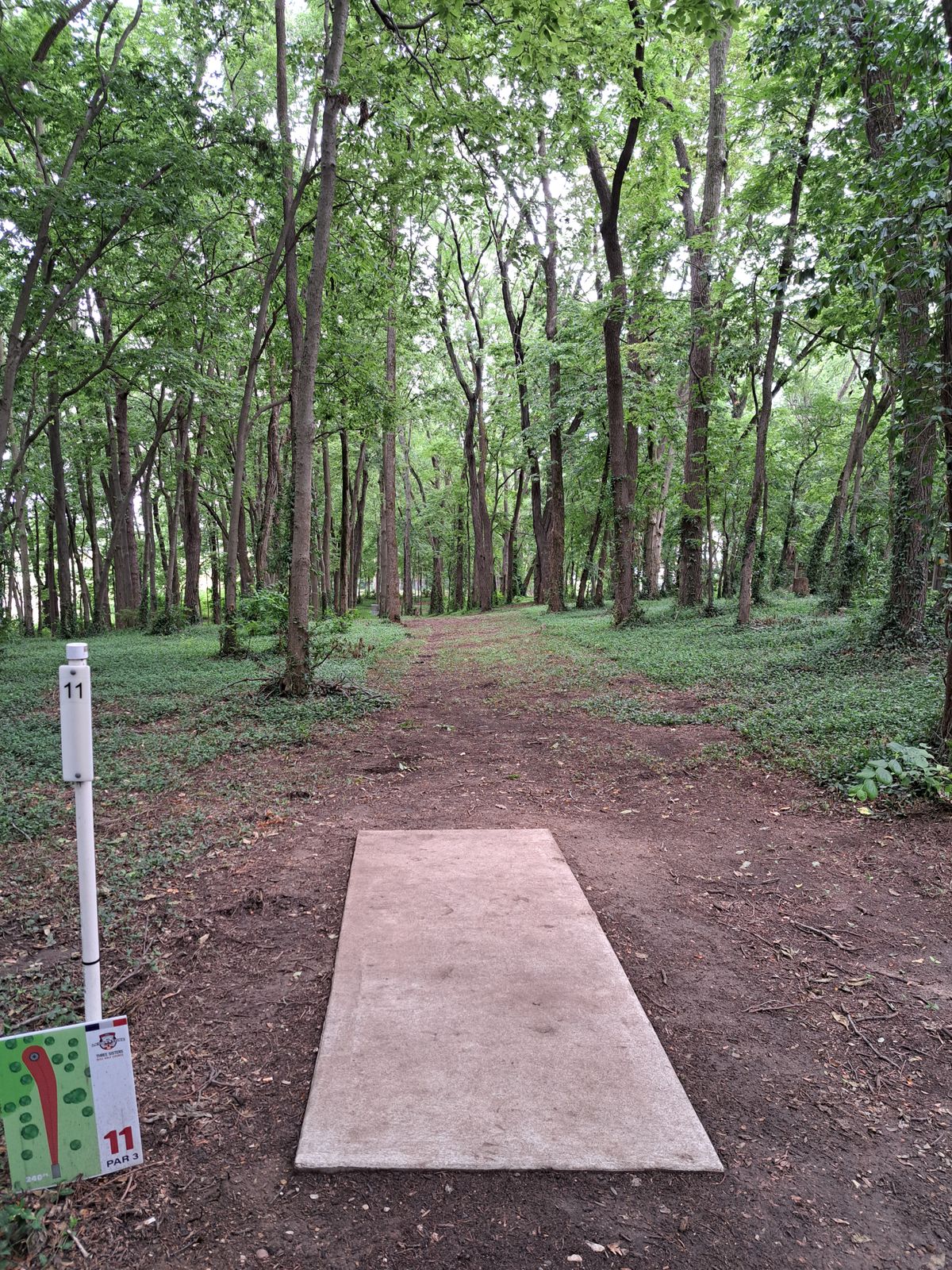 Hole 11.  7/3/24