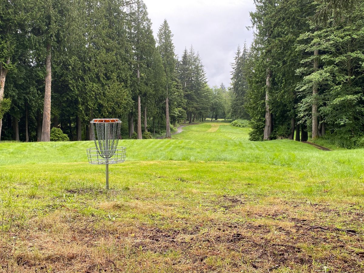 Red course hole 10 basket to tee