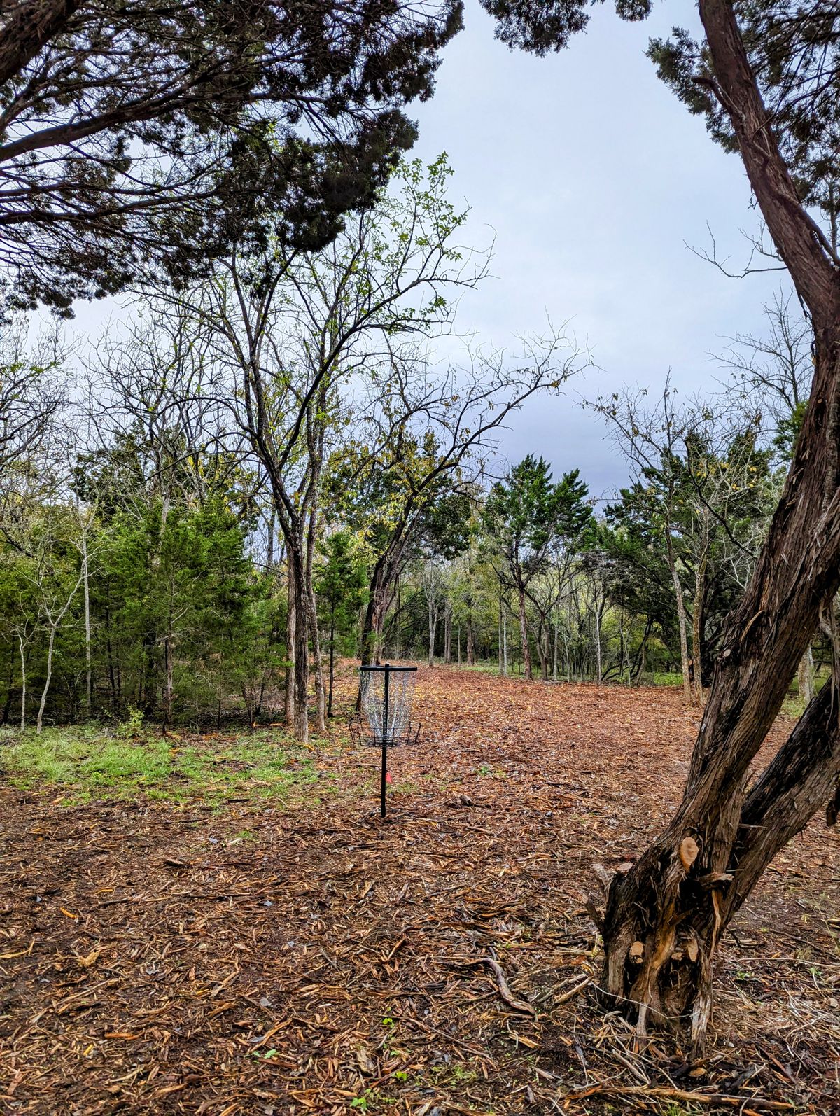 Hole 2 Basket