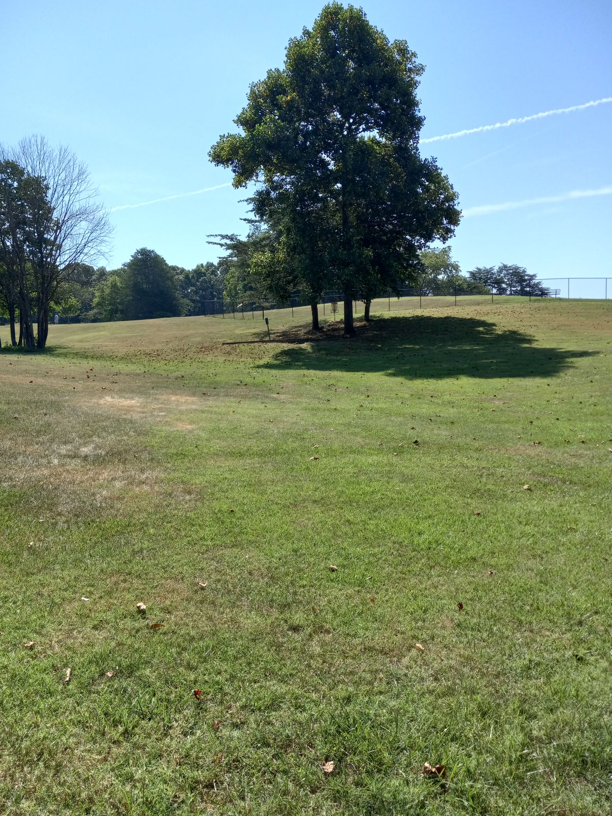 Some sun-exposed holes. Bring a hat/glasses/sunscreen.