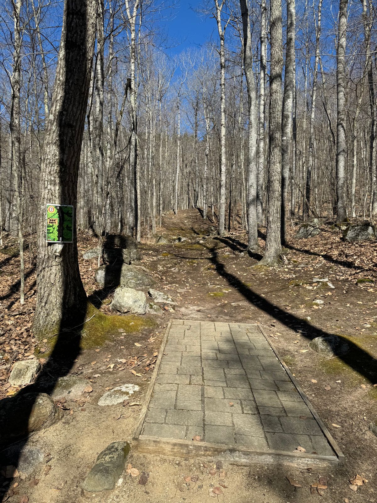 Hole 6