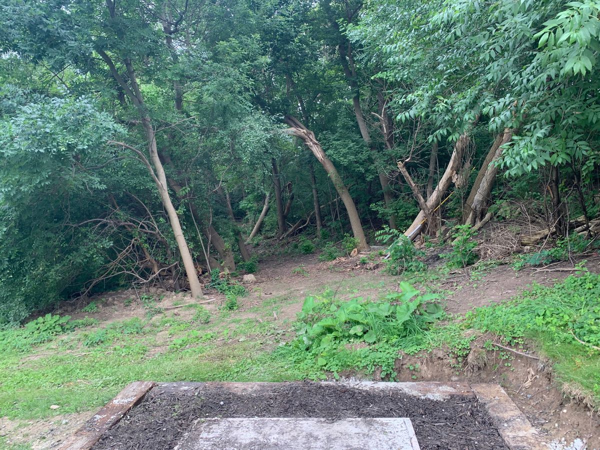 Hole 4. Basket is down and to the left.