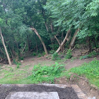 Hole 4. Basket is down and to the left.