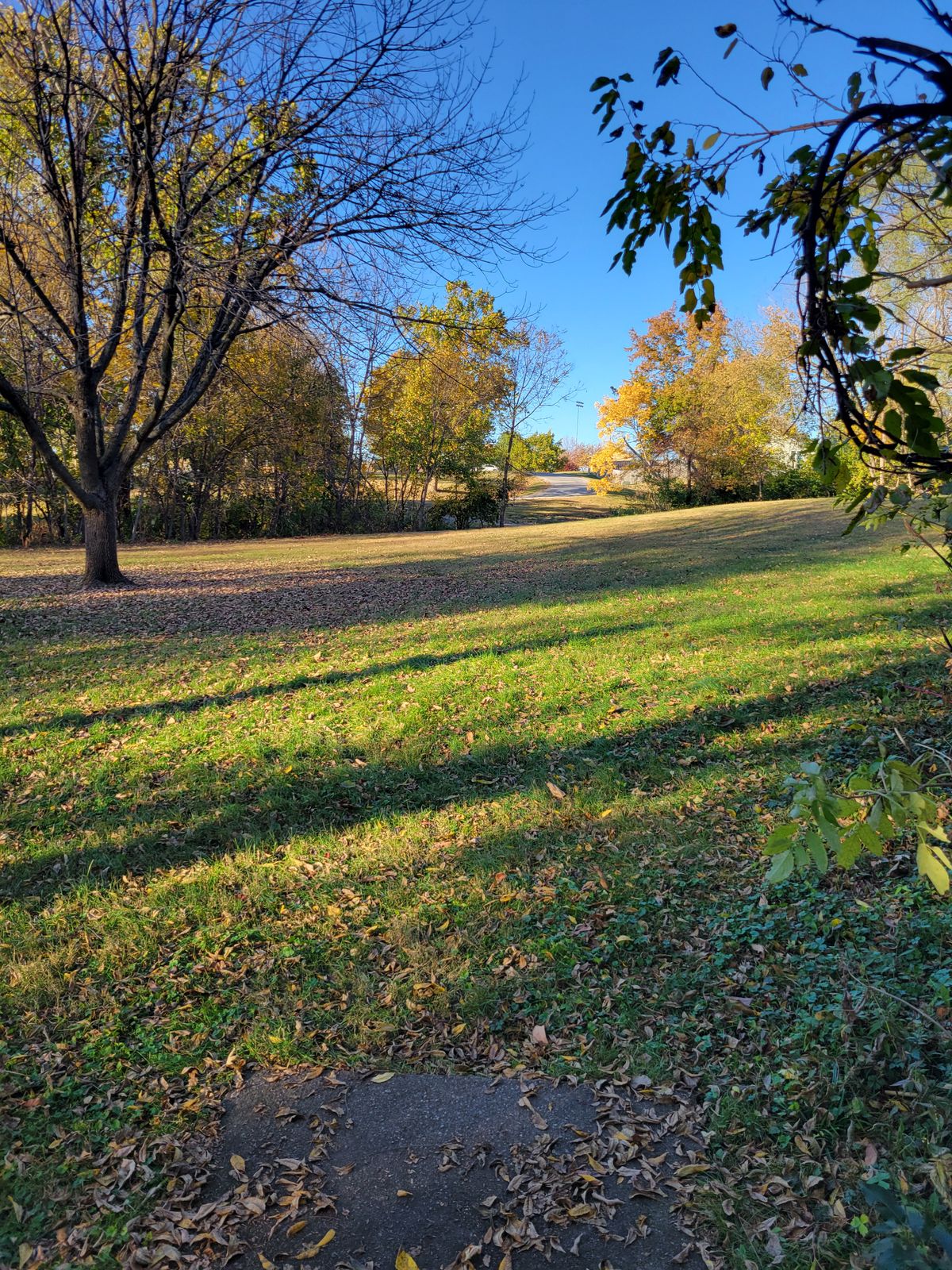 Hole 8 close to road and past tree line