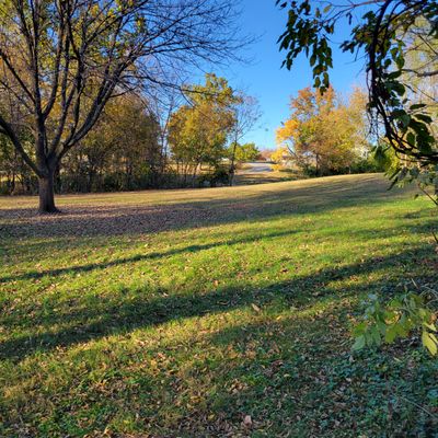 Hole 8 close to road and past tree line