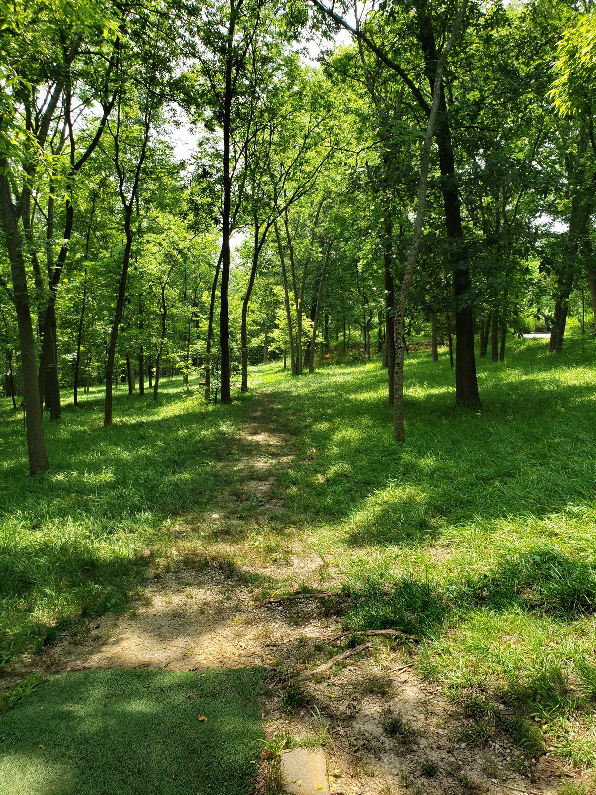#8 Tee-Pad and Fairway