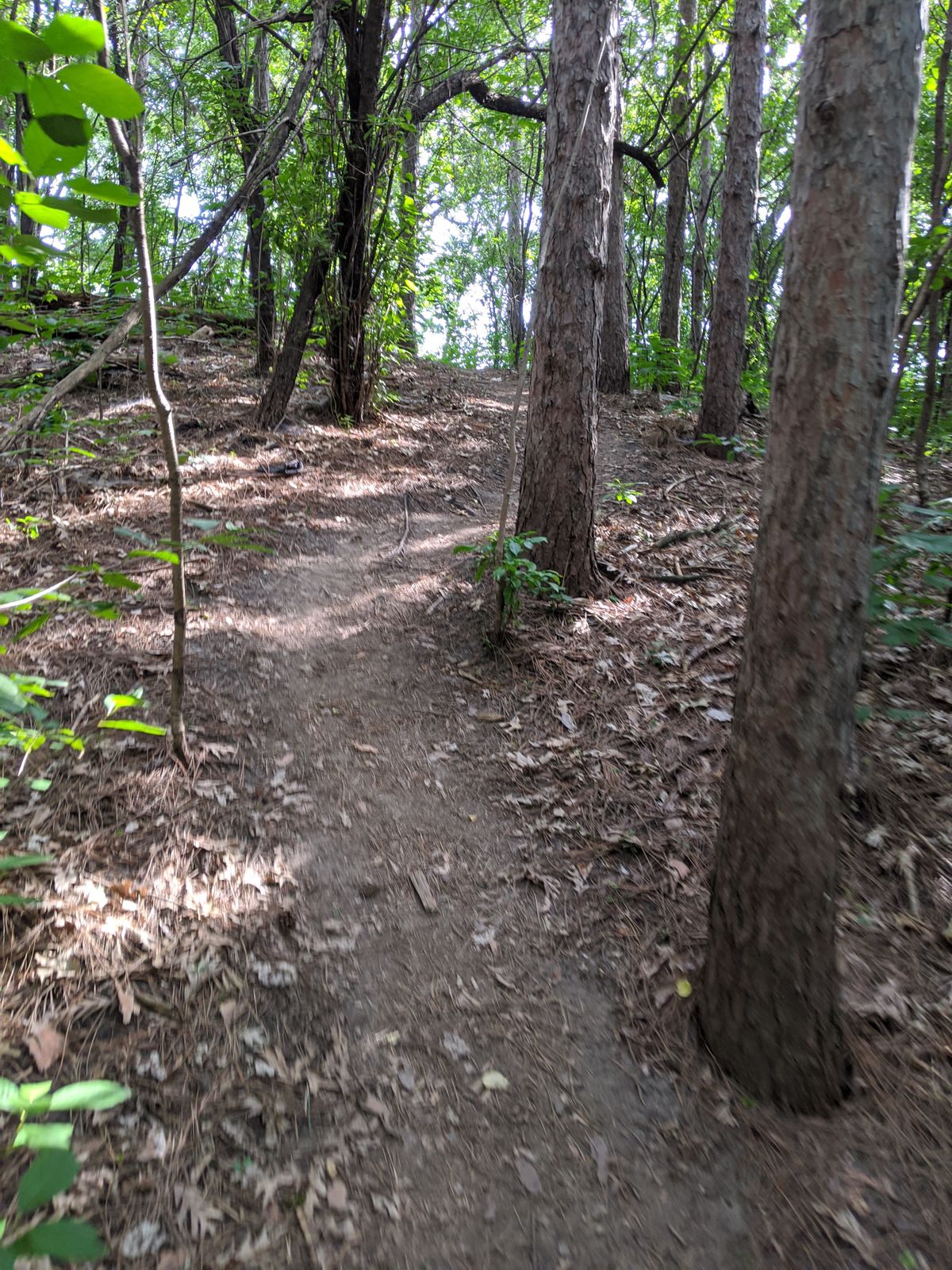 Walk up to 4