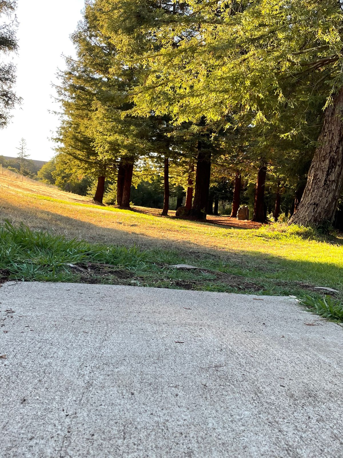 Holes 9/19 tee pad view