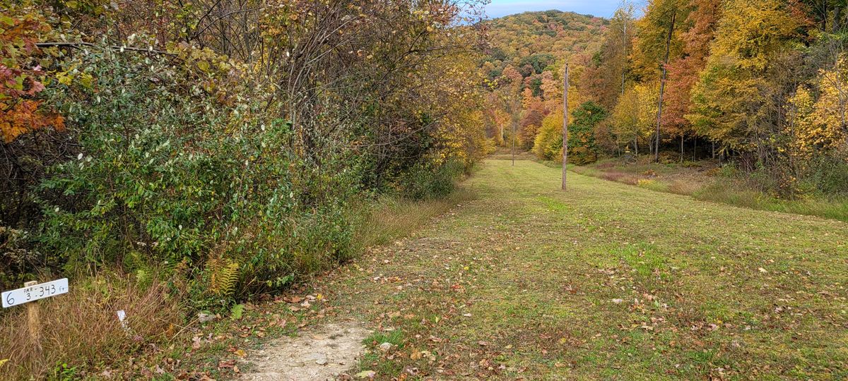 Hole 6 - October 2022