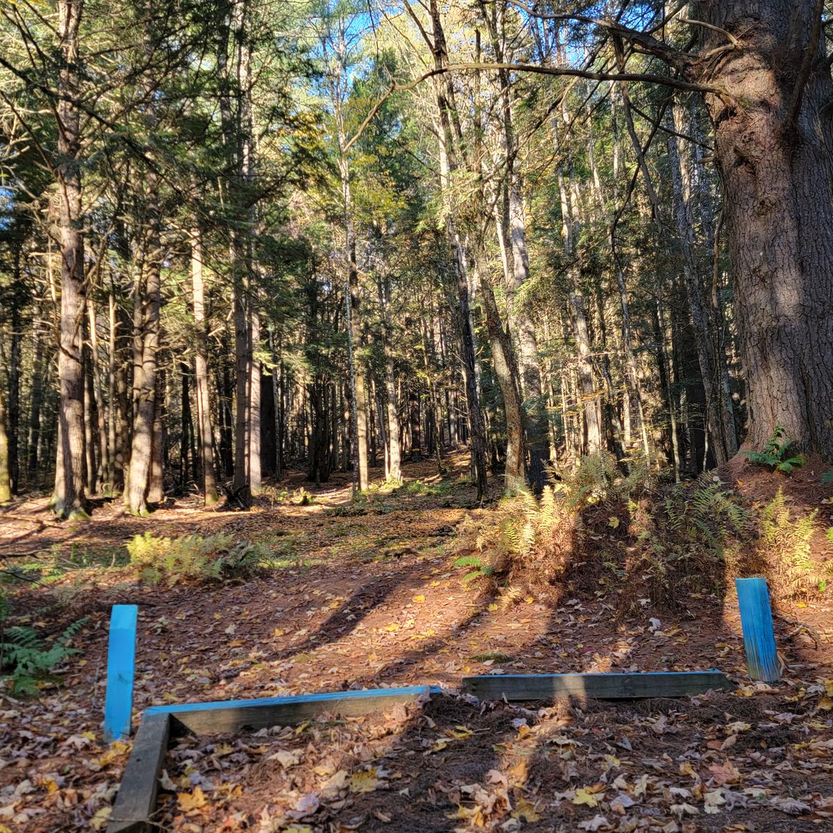 Hole 2 teebox looking up toward basket (uphill, right)