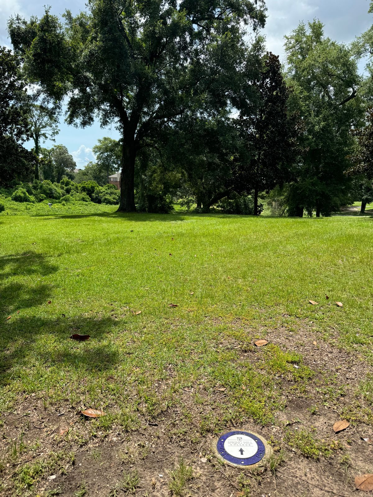 Hole 16