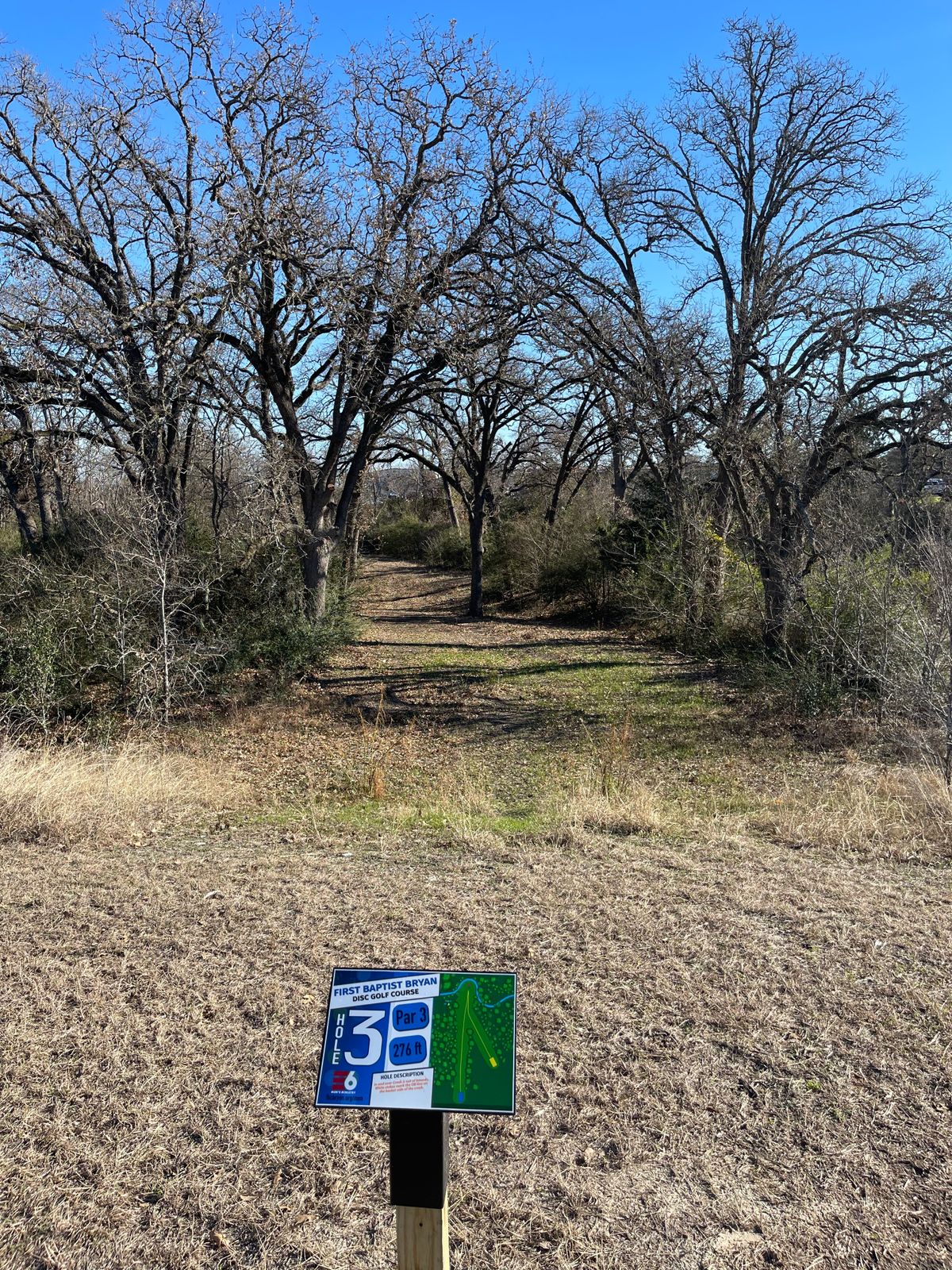 Tee 3