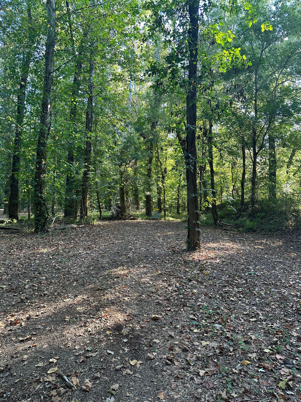 Hole 4