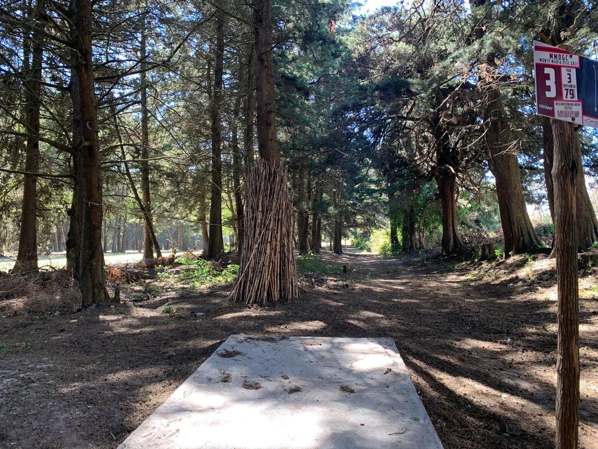 Hole #3 tee pad