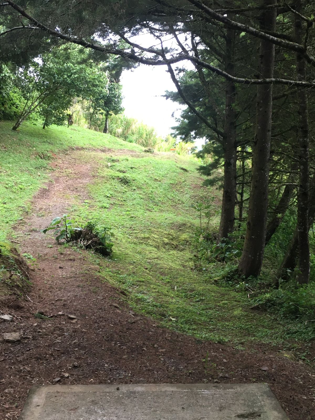 Hole 9 Short Tee