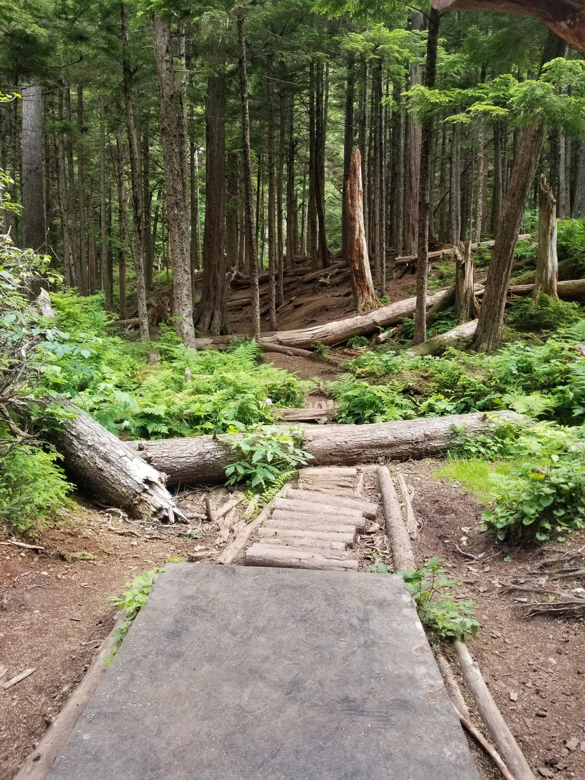 Hole 5