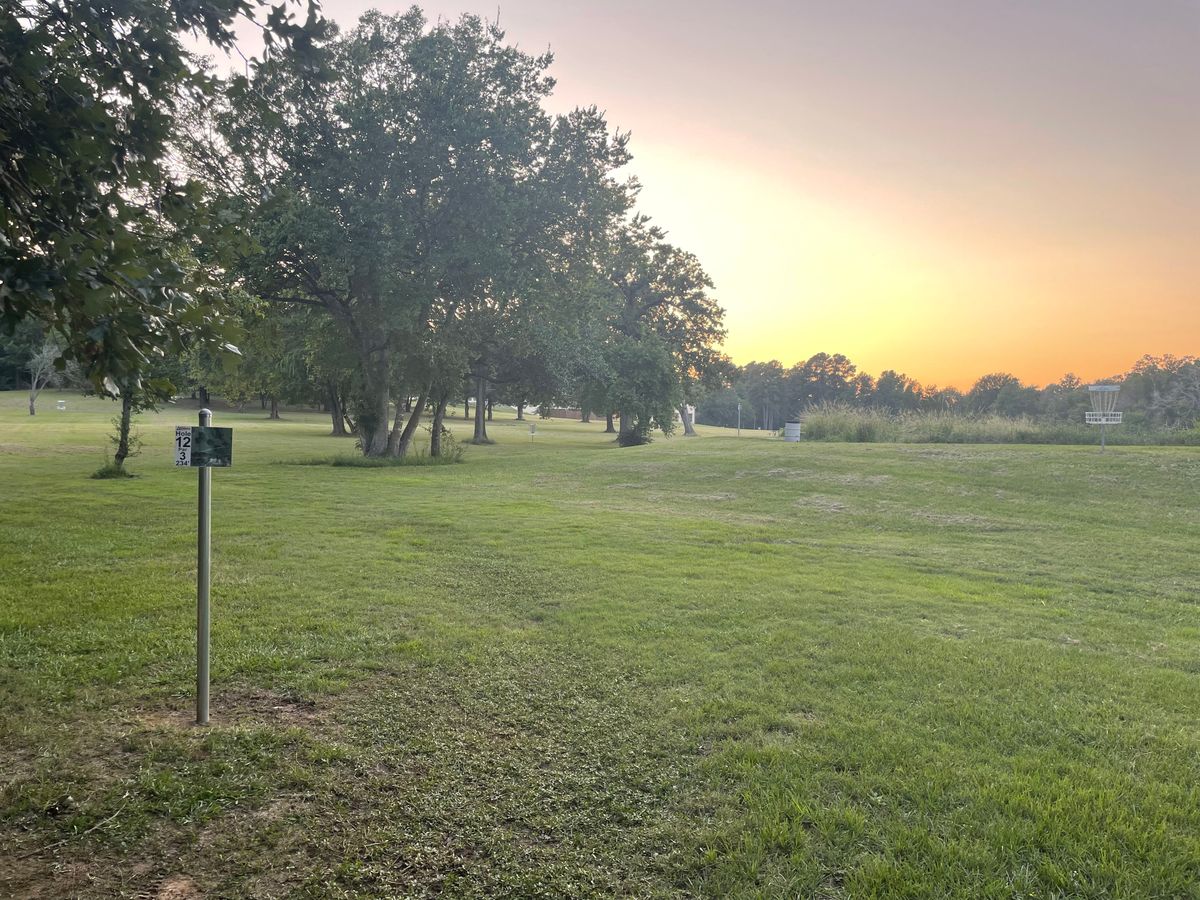 Evening Disc Golf