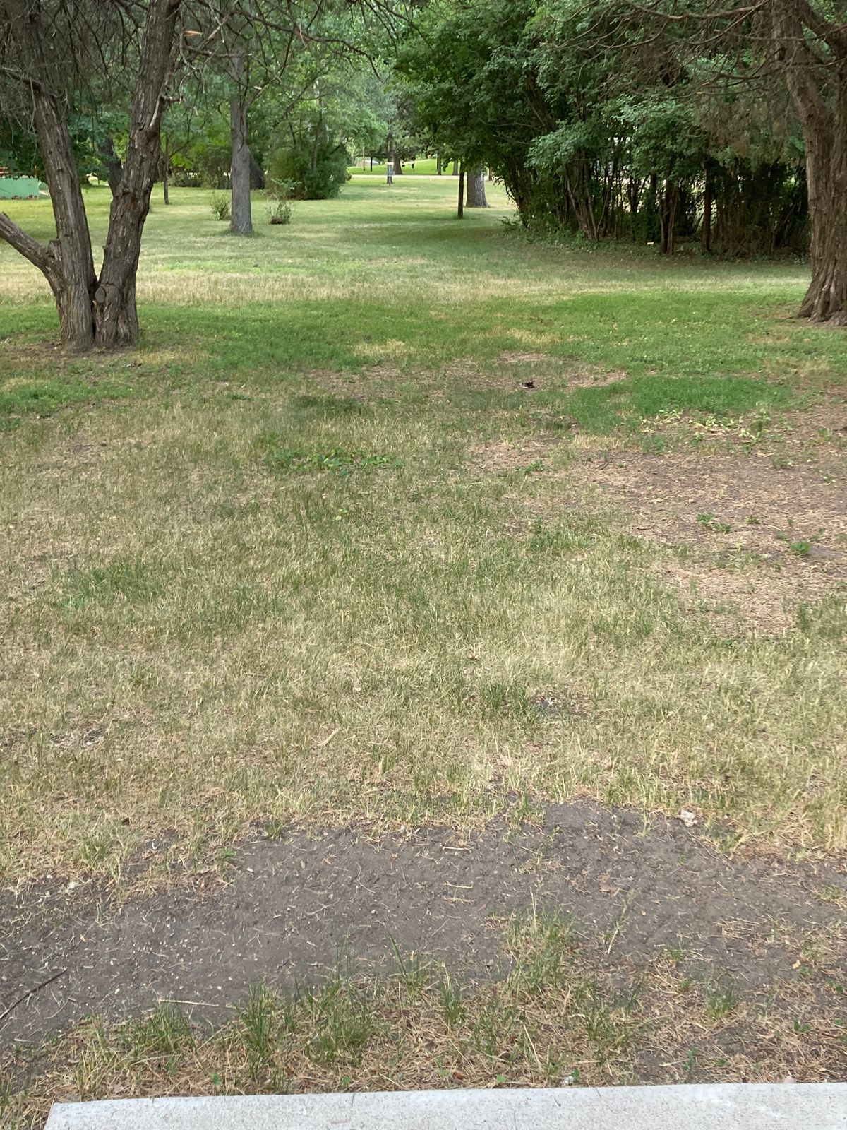 Tee 7 (missing Hole #)
