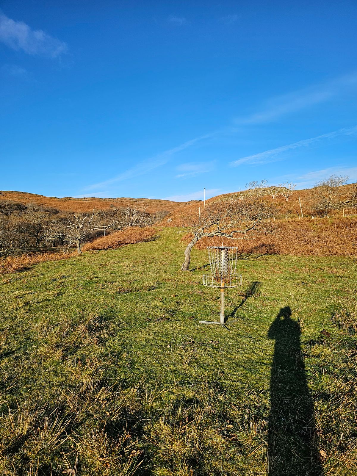 Hole 11 basket looking back towards the tee