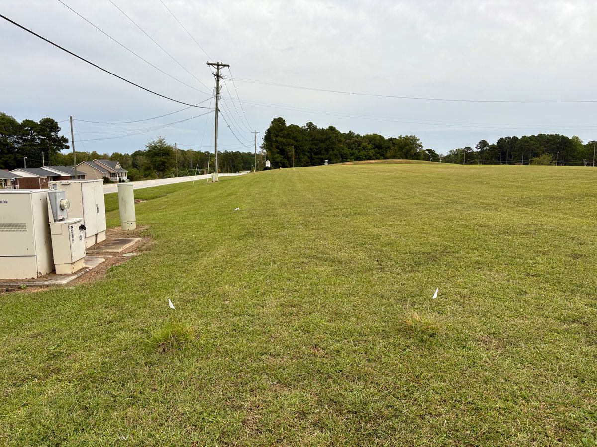 Hole 3 tee