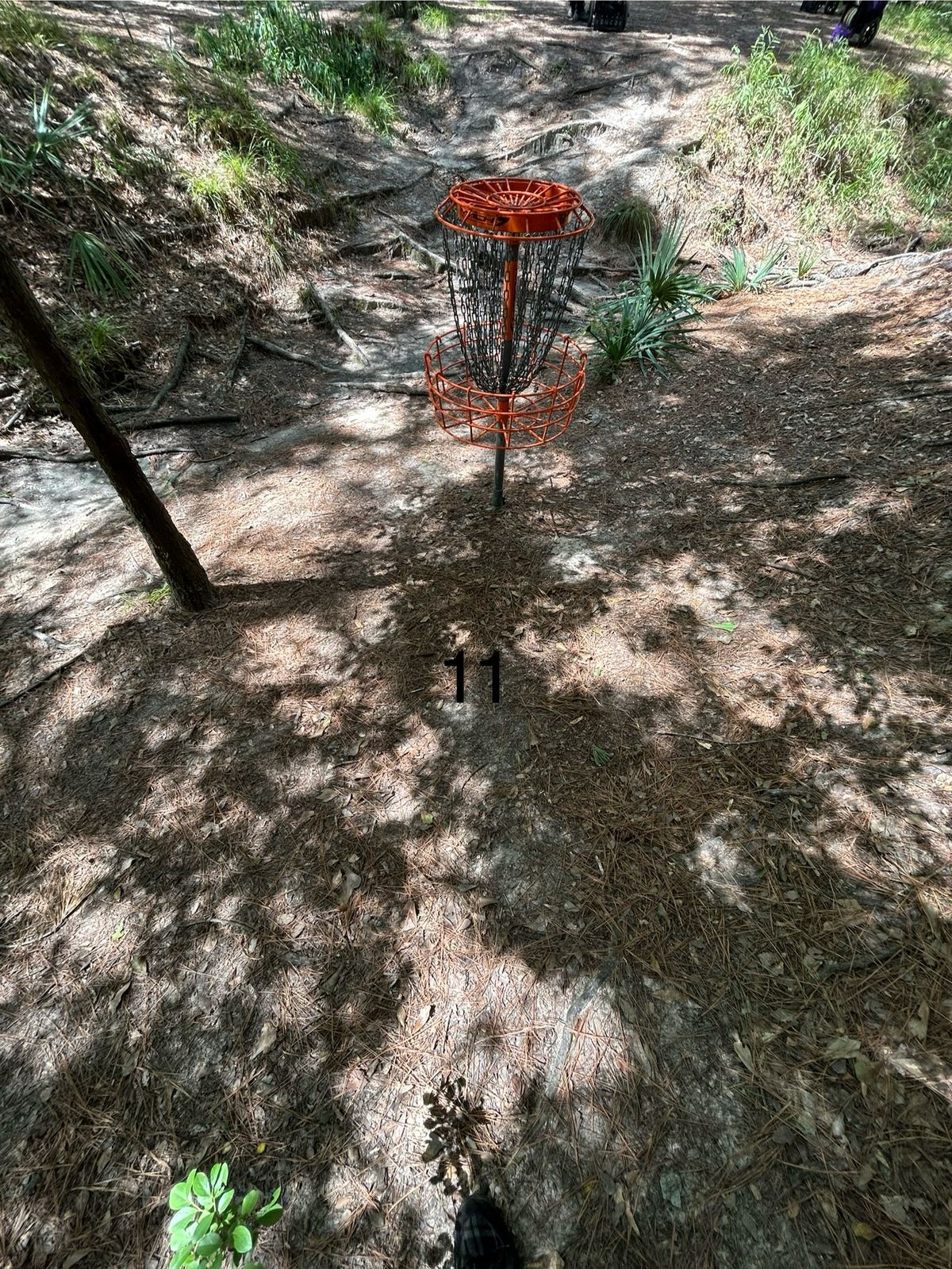 11