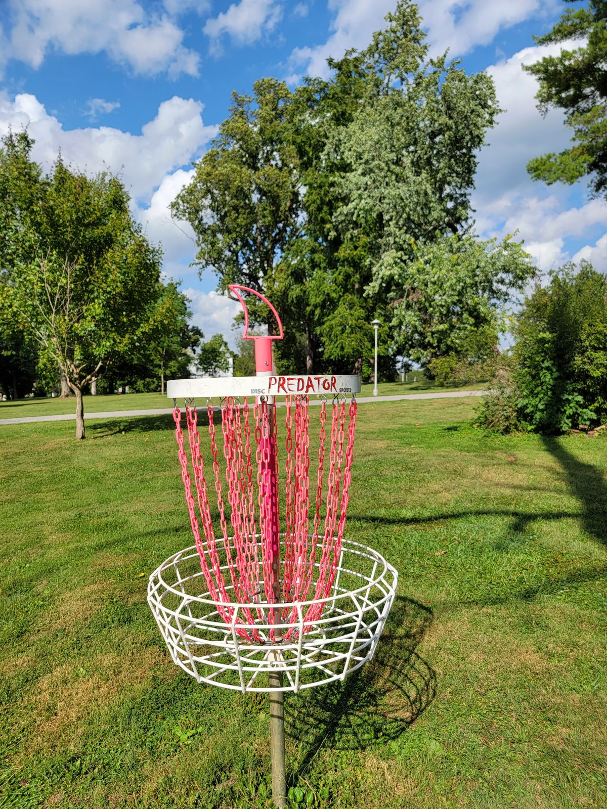 Hole 13 basket