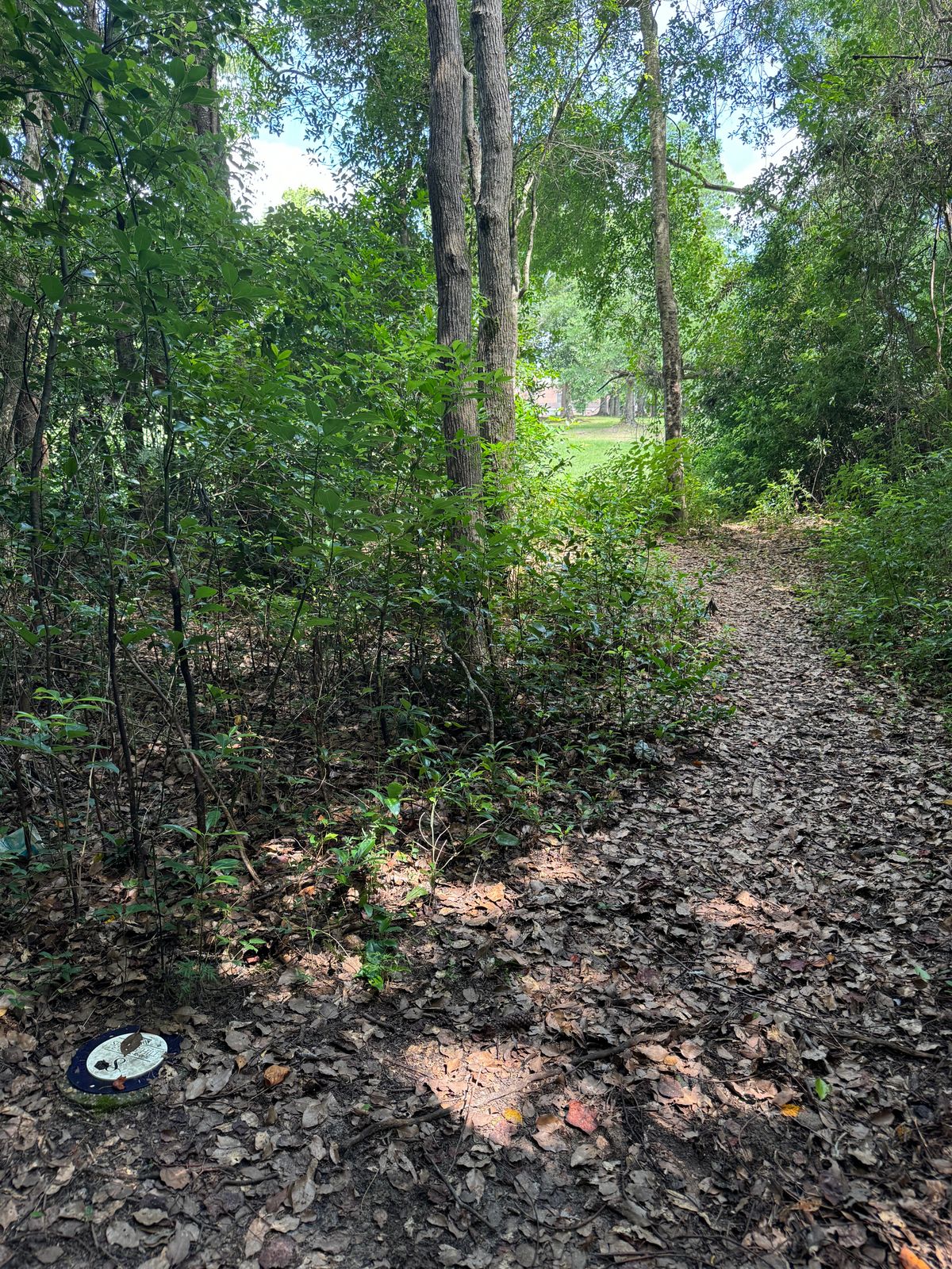 Hole 8