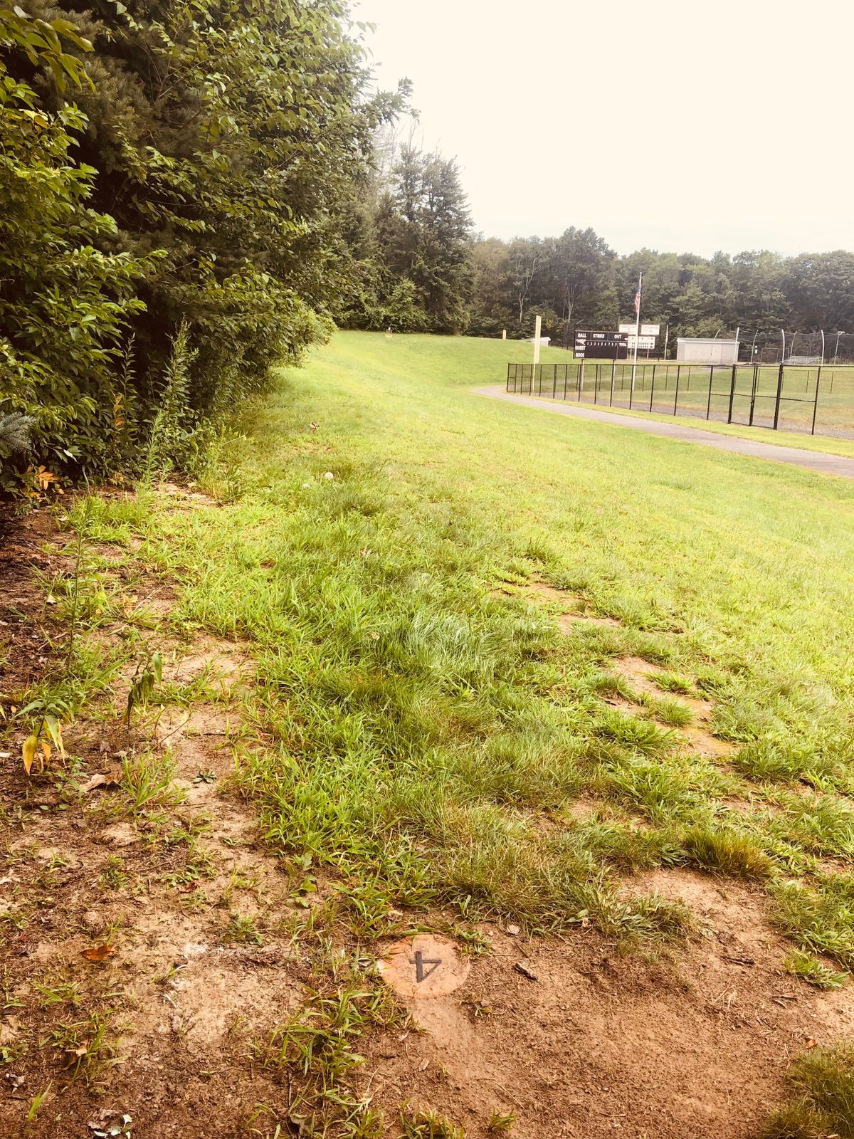 Hole 4 try not to flip it over fence into playing field.