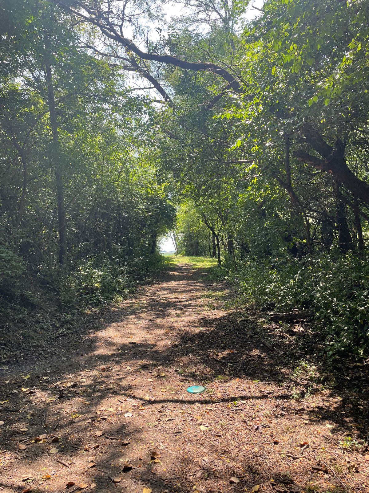 Hole 4 fairway - very narrow which I liked. Difficult par 3!
