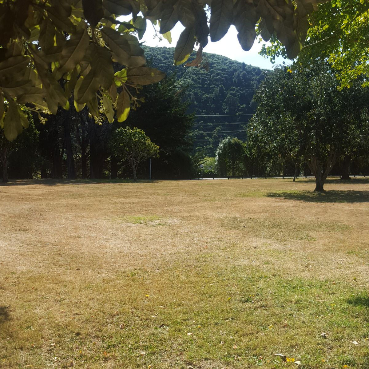 Hole 1