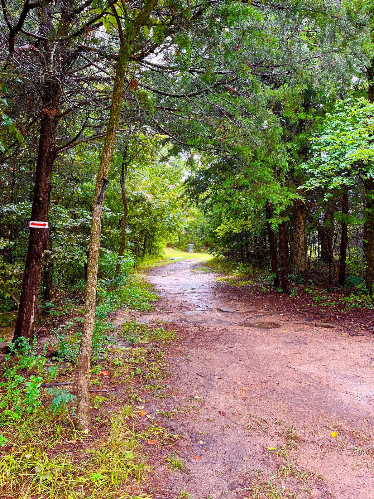 Hole 5