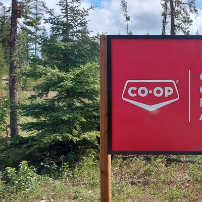 Course sign 🌲🌲🌲🌲