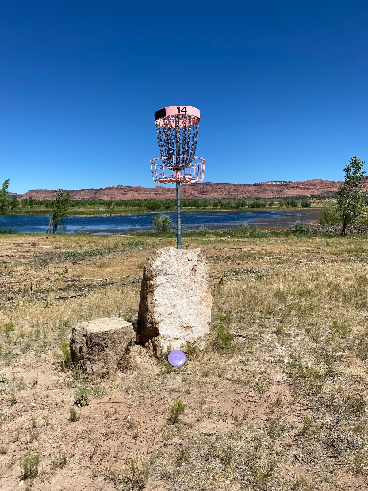 Hole 14, tallest basket I've seen yet