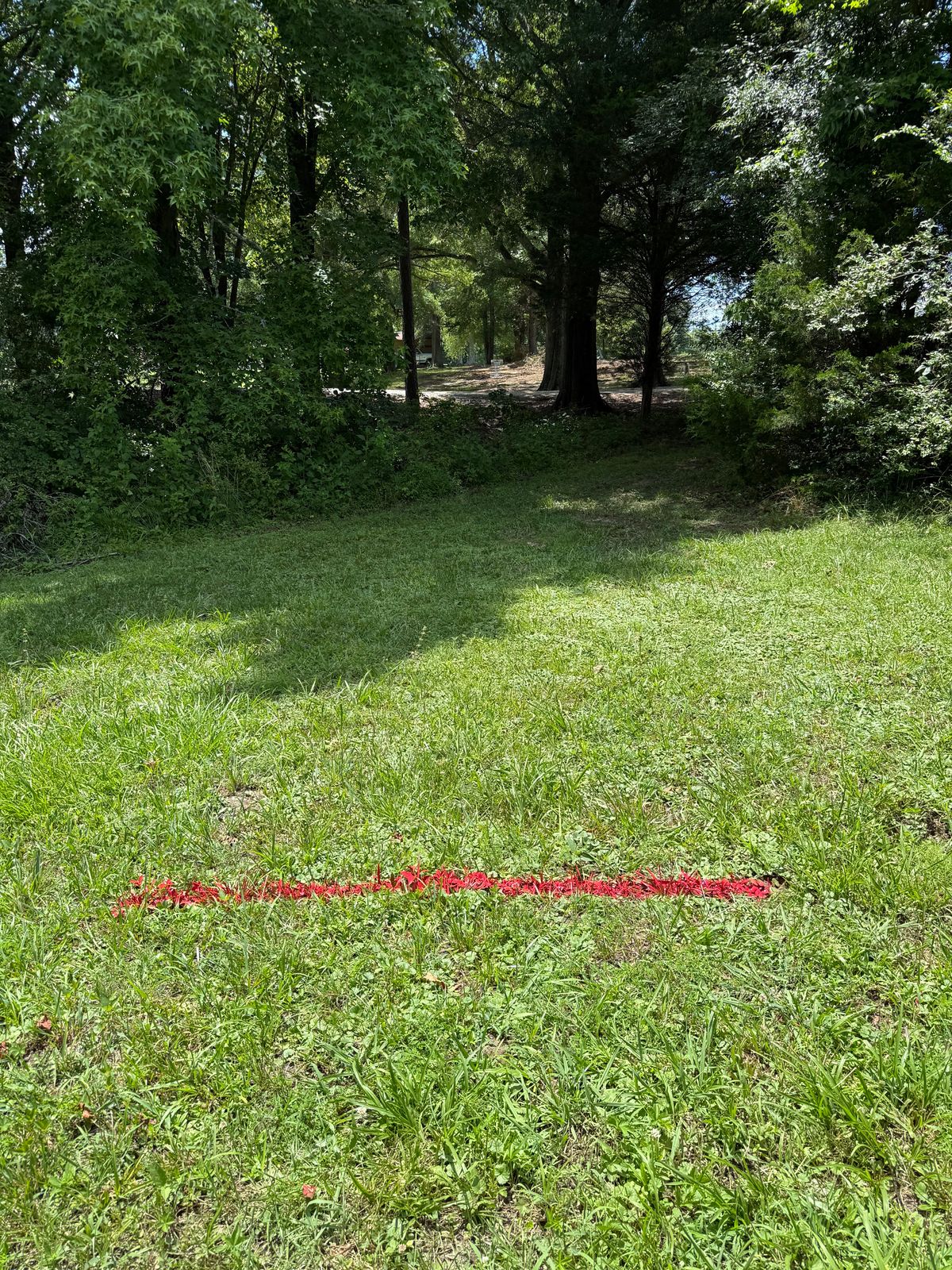 Hole 10 ALT Tee. 