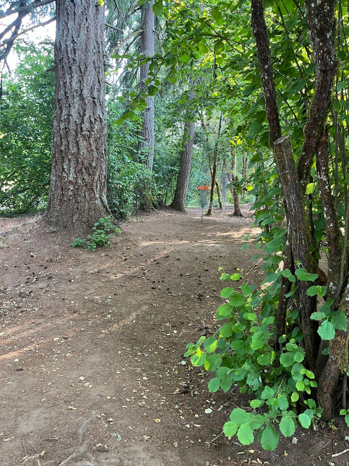 Fairway of 2  - Short Pon
