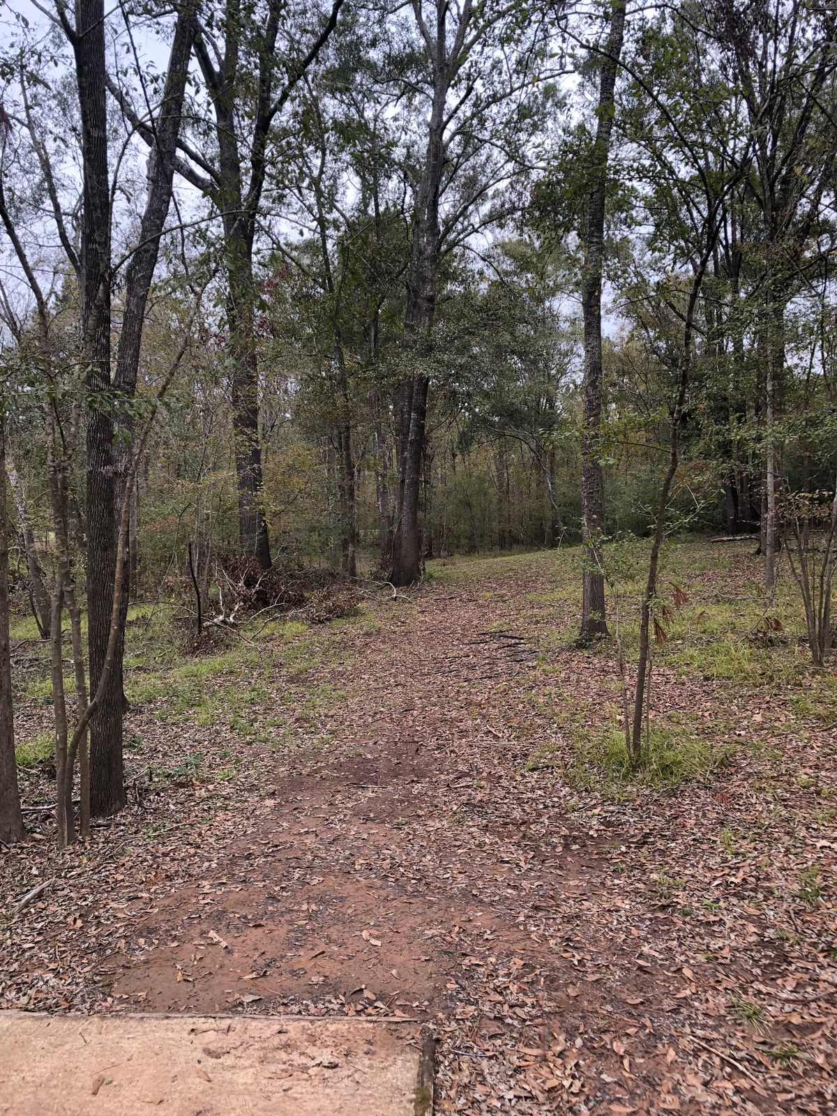 Hole 4