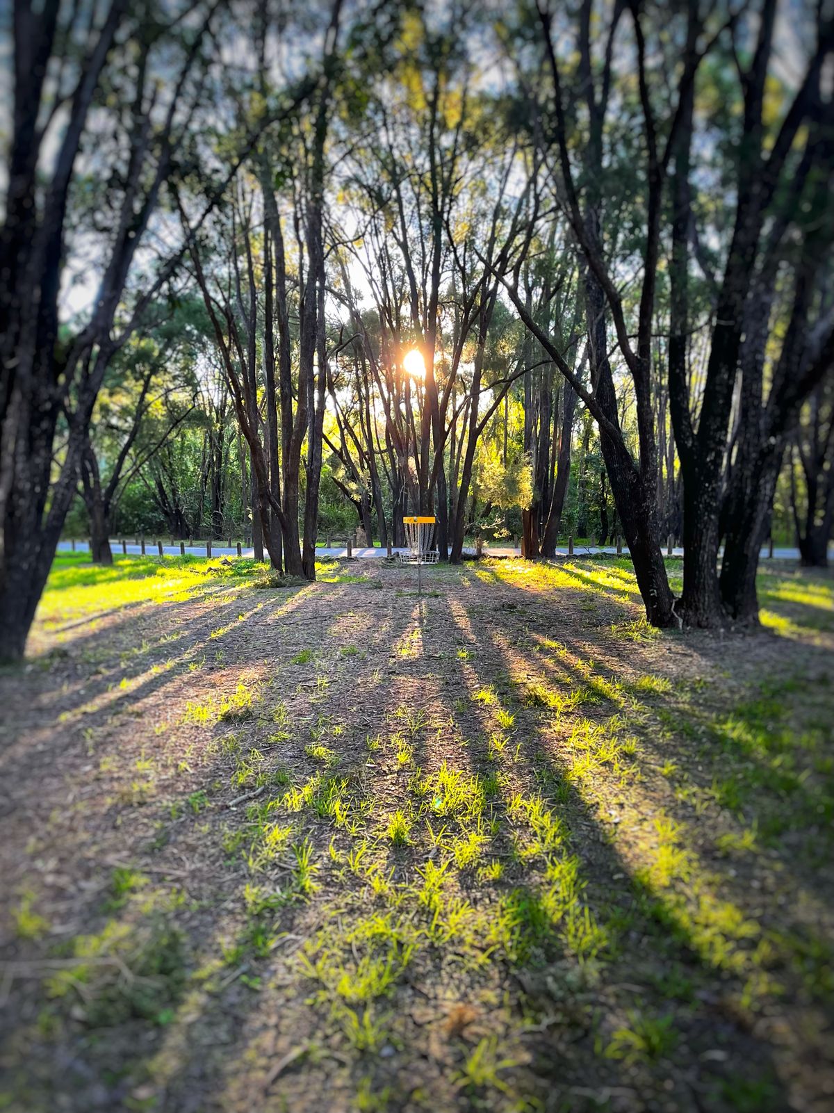 Beautiful sunset behind the basket of hole 2
