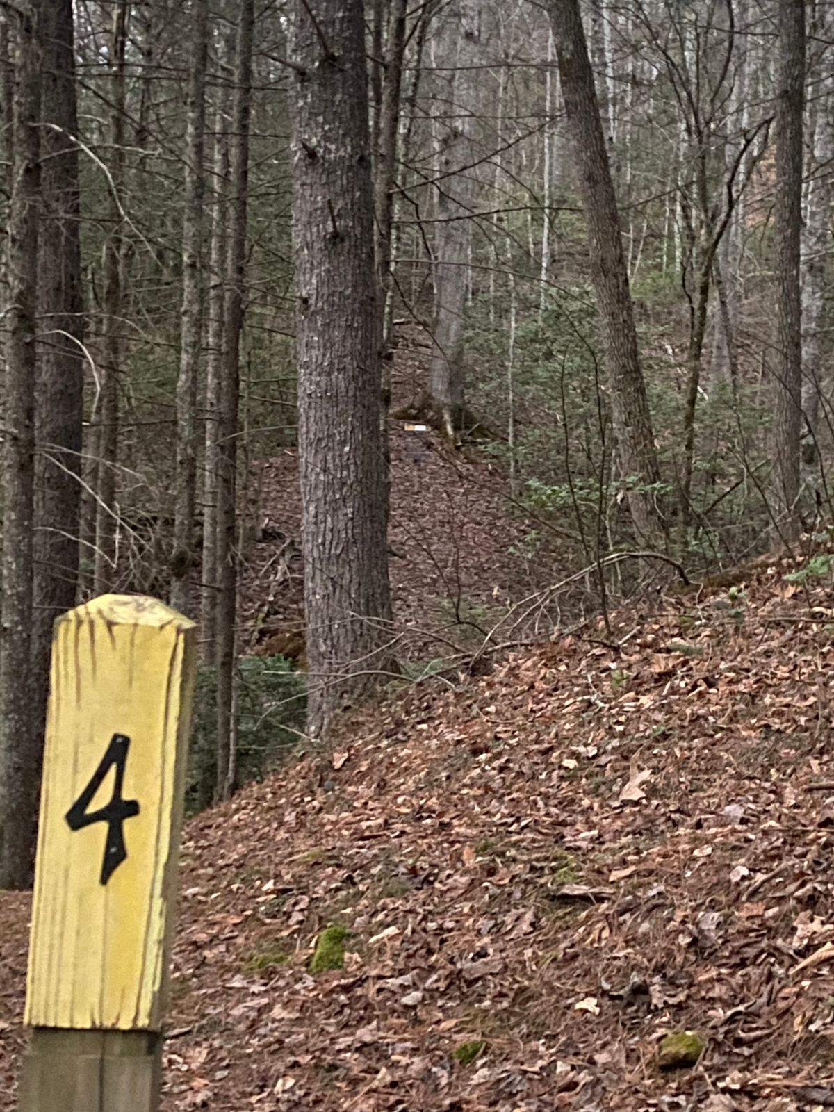 Hole 4