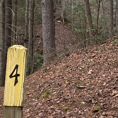 Hole 4